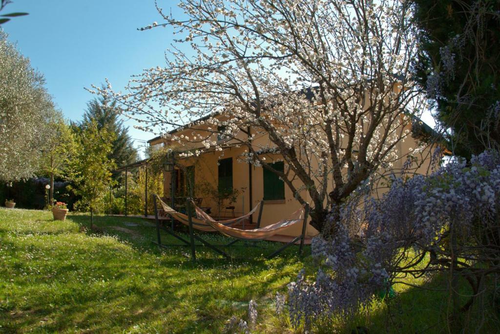Casa Elisabetta Villa Montescudaio Exterior photo